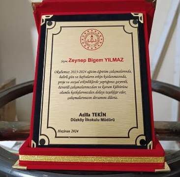 PLAKET BASKI İŞİMİZ