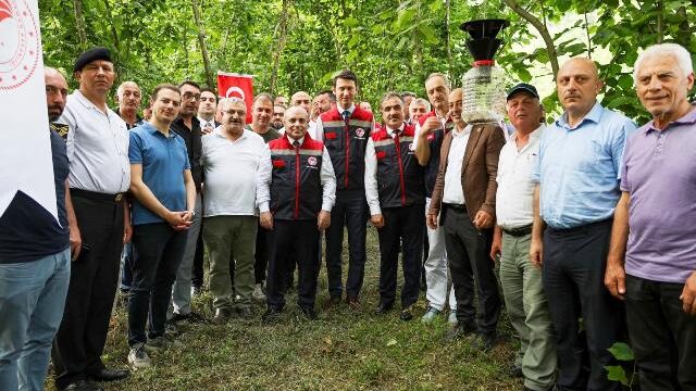 Artvin’de Kahverengi Kokarca ile Mücadelede Samuray Arıları Doğaya Salındı