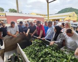 Milletvekili Çelik, Kemalpaşa’da ziyaretlerde bulundu