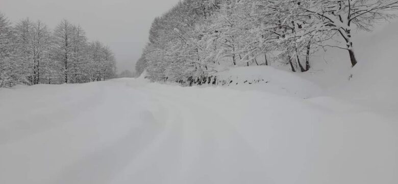 Korumalı: Borçka Macahel grup yolu ulaşıma kapandı